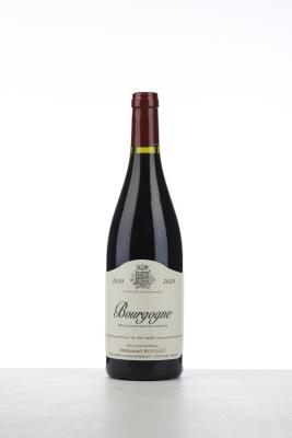 BOURGOGNE PINOT NOIR 2020 - Emmanuel Rouget - 1 Bottle