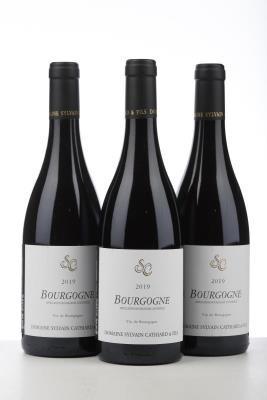 BOURGOGNE ROUGE 2019 - Sylvain Cathiard - 3 Bottles
