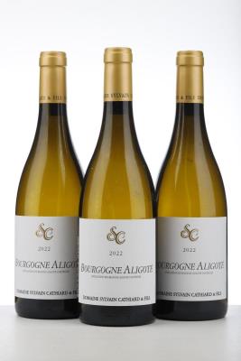 BOURGOGNE ALIGOTE 2022 - Sylvain Cathiard - 3 Bottles