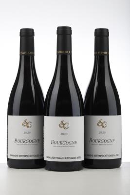 BOURGOGNE ROUGE 2020 - Sylvain Cathiard - 3 Bottles