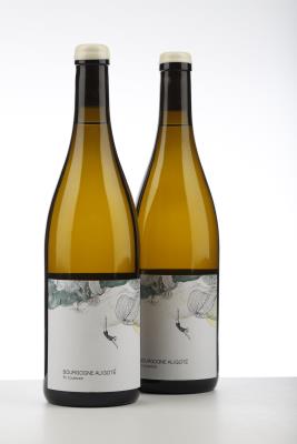BOURGOGNE ALIGOTE EN COULEZAIN 2022 - Les Horees - 2 Bottles