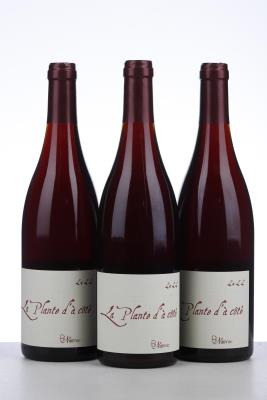 PINOT NOIR LA PLANTE D'A COTE 2022 - Bi Naume - 3 Bottles