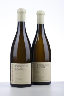 BOURGOGNE ALIGOTE 2020 - Pierre Yves Colin Morey - 2 Bottles