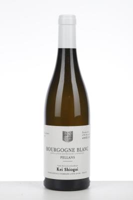 BOURGOGNE BLANC PELLANS 2021 - Kei Shiogai - 1 Bottle