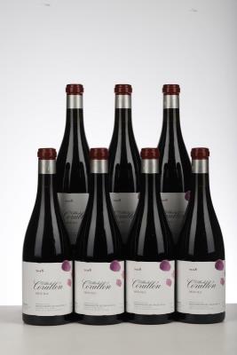 VILLA DE CORULLON 2018 - Descendientes de Palacios - 7 Bottles