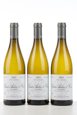 SAINT AUBIN BLANC EN CREOT 2022 - Marc Collin - 3 Bottles
