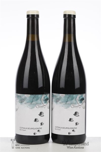 COTEAUX BOURGUIGNONS MON POULAIN 2021 - Les Horees - 2 Bottles