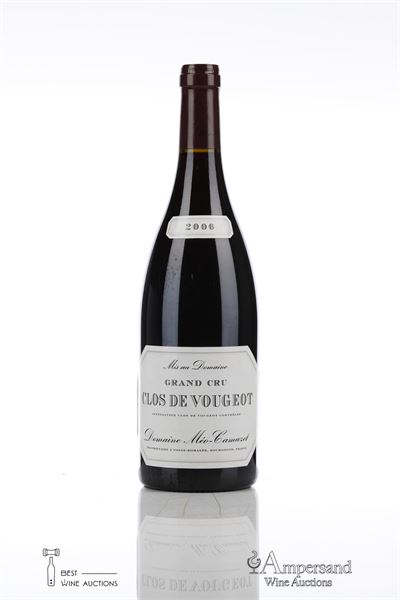 CLOS DE VOUGEOT 2006 - Meo Camuzet - 1 Bottle