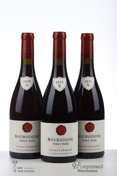 BOURGOGNE PINOT NOIR 2020 - Nicole Lamarche - 3 Bottles