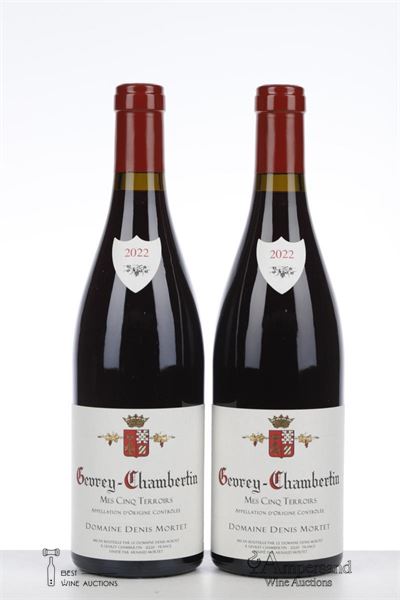 GEVREY CHAMBERTIN MES CINQ TERROIRS 2022 - Denis Mortet - 2 Bottles