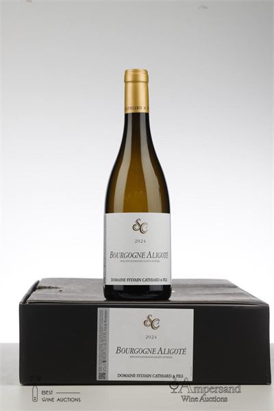 BOURGOGNE ALIGOTE 2024 - Sylvain Cathiard - 6 Bottles - Oc 6