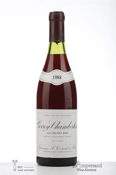 GEVREY CHAMBERTIN LES JEUNES ROIS 1988 - Tortochot - 1 Bottle