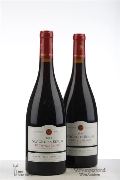 SAVIGNY LES BEAUNE AUX GRAVAINS 2009 - Jean Marc Pavelot - 2 Bottles