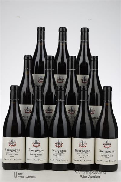 BOURGOGNE PINOT NOIR 2016 - Charles Van Canneyt - 12 Bottles