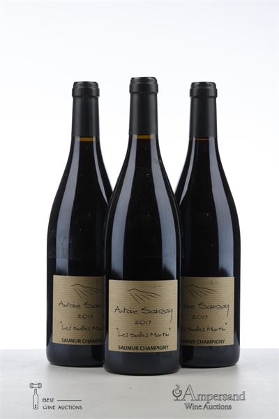 SAUMUR CHAMPIGNY LES SALLES MARTIN 2017 - Antoine Sanzay - 3 Bottles