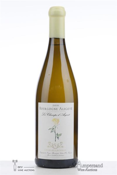 BOURGOGNE ALIGOTE LES CHAMPS D'ARGENT 2019 - Charles Lachaux - 1 Bottle