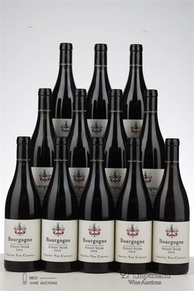 BOURGOGNE PINOT NOIR 2016 - Charles Van Canneyt - 12 Bottles