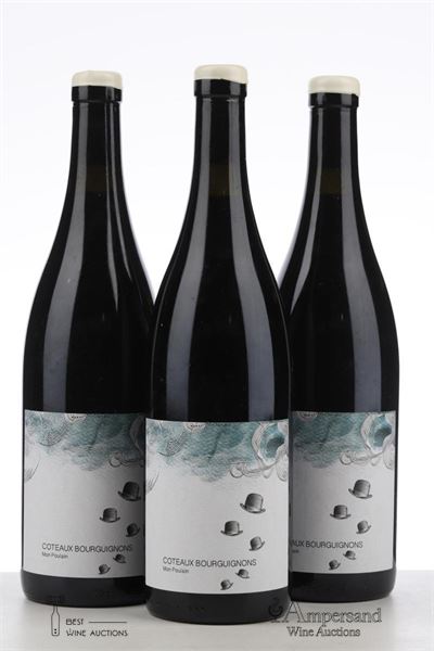 COTEAUX BOURGUIGNONS MON POULAIN 2021 - Les Horees - 3 Bottles