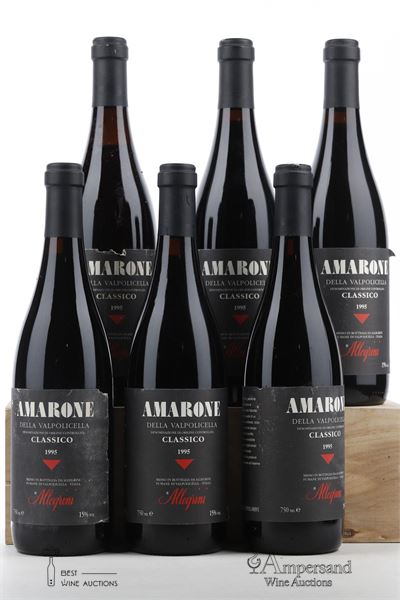 AMARONE DELLA VALPOLICELLA CLASSICO 1995 - Allegrini - 6 Bottles