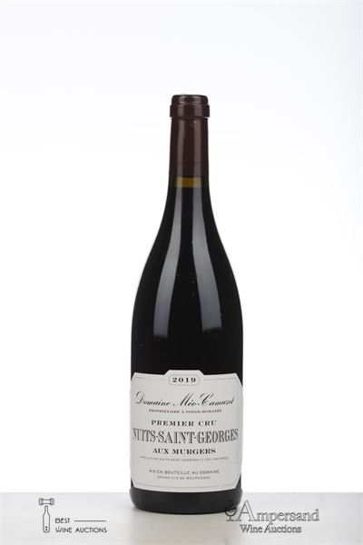 NUITS ST GEORGES AUX MURGERS 2019 - Domaine Meo Camuzet - 1 Bottle