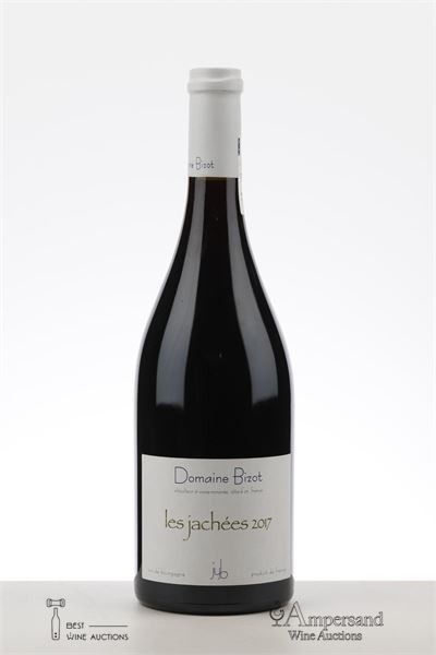 VOSNE ROMANEE LES JACHEES 2017 - Domaine Bizot - 1 Bottle