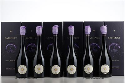 MARGUET SAPIENCE 1 ER CRU 2009 - Benoit Marguet - 6 Bottles - Oc 1