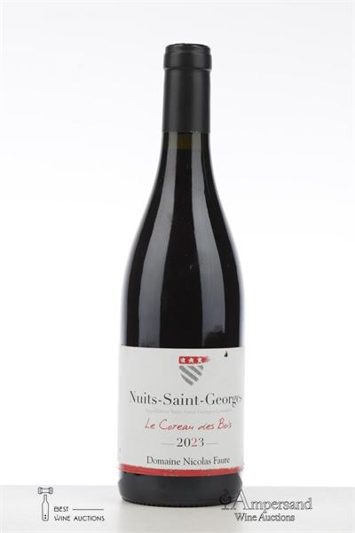 NUITS ST GEORGES LE COTEAU DES BOIS 2023 - Nicolas Faure - 1 Bottle