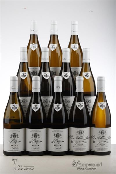 RULLY BLANC LA PUCELLE 6*2014 + 3*2016 + 3*2017  - Paul Jacqueson - 12 Bottles