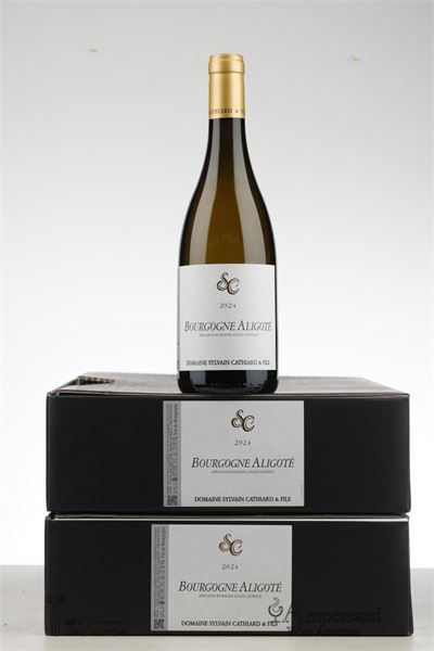 BOURGOGNE ALIGOTE 2024 - Sylvain Cathiard - 12 Bottles - Oc 6