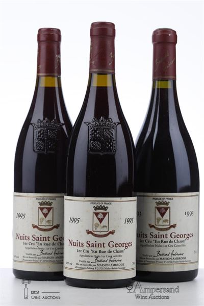 NUITS ST GEORGES EN RUE DE CHAUX 1*1993 + 2*1995 MIXED - Bertrand Ambroise - 3 Bottles