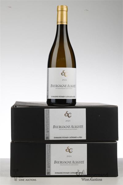 BOURGOGNE ALIGOTE 2024 - Sylvain Cathiard - 12 Bottles - Oc 6