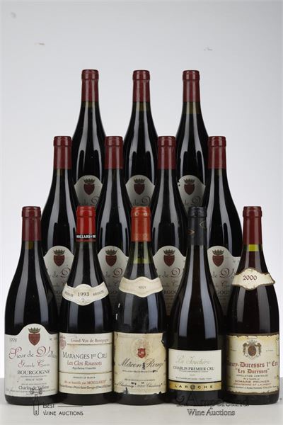 LOT BURGUNDY RED MIXED - Various - 12 Bottles
