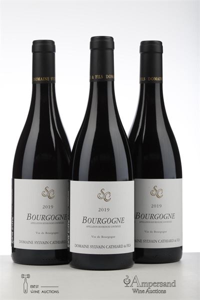 BOURGOGNE ROUGE 2019 - Sylvain Cathiard - 3 Bottles