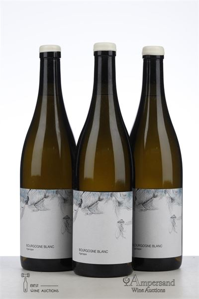 BOURGOGNE BLANC AGANIPPE 2021 - Les Horees - 3 Bottles