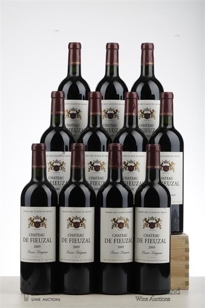 FIEUZAL 2009 - Mc - 11 Bottles
