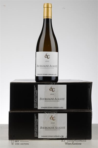 BOURGOGNE ALIGOTE 2022 - Sylvain Cathiard - 12 Bottles - Oc 6