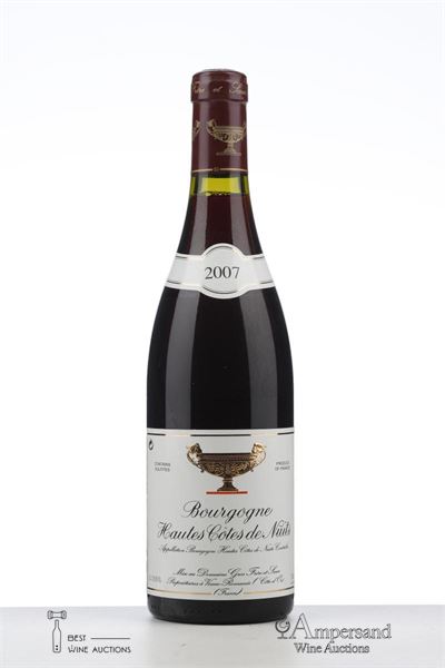 HAUTES COTES DE NUITS 2007 - Gros Frere et Soeur - 1 Bottle