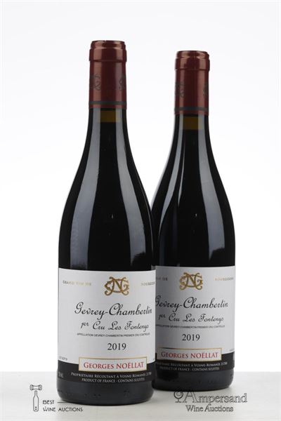 GEVREY CHAMBERTIN LES FONTENYS 2019 - Georges Noellat - 2 Bottles