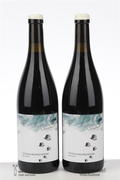 COTEAUX BOURGUIGNONS MON POULAIN 2020 - Les Horees - 2 Bottles