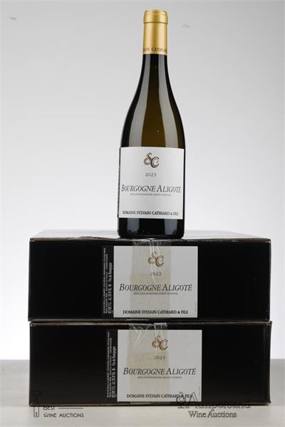 BOURGOGNE ALIGOTE 2023 - Sylvain Cathiard - 12 Bottles - Oc 6
