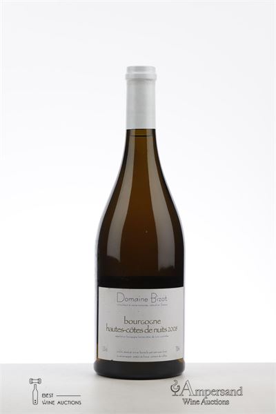 HAUTES COTES DE NUITS BLANC 2008 - Bizot - 1 Bottle