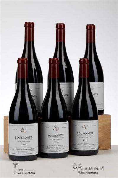 BOURGOGNE ROUGE 2010 - Sylvain Cathiard - 6 Bottles - Oc 6