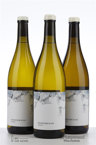 BOURGOGNE BLANC AGANIPPE 2022 - Les Horees - 3 Bottles