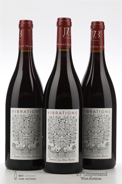 HAUTES COTES DE BEAUNE ROUGE VIBRATIONS 2022 - Jean Marc Bouley - 3 Bottles