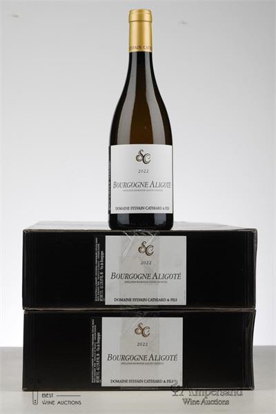 BOURGOGNE ALIGOTE 2022 - Sylvain Cathiard - 12 Bottles - Oc 6