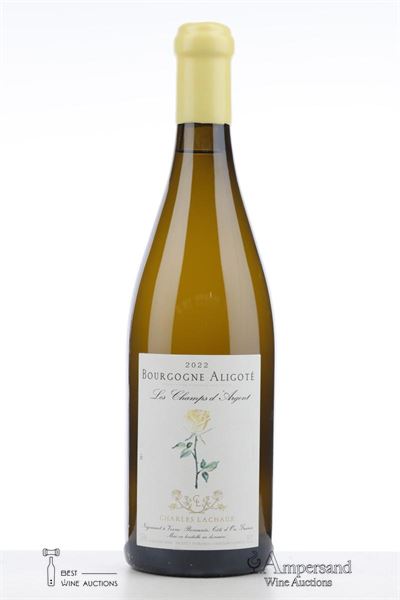 BOURGOGNE ALIGOTE LES CHAMPS D'ARGENT 2022 - Charles Lachaux - 1 Bottle