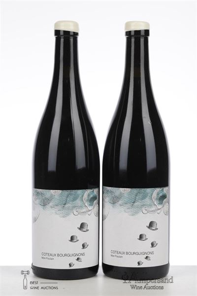 COTEAUX BOURGUIGNONS MON POULAIN 2020 - Les Horees - 2 Bottles