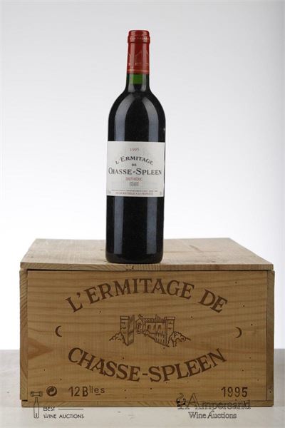 L'ERMITAGE DE CHASSE SPLEEN 1995 - Mc - 12 Bottles - Owc 12