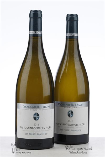 NUITS ST GEORGES BLANC LES TERRES BLANCHES 2016 - Patrice Rion - 2 Bottles