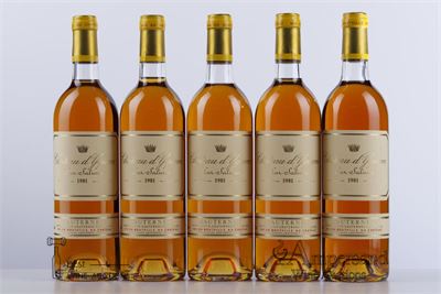 YQUEM 1981 - 5 Bottles